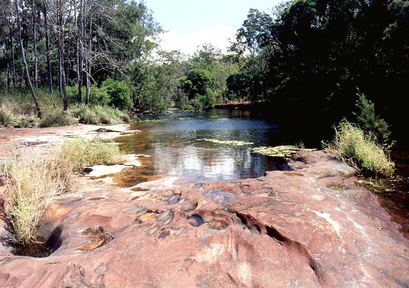 Tinaroo 1001 Barron River, Queensland